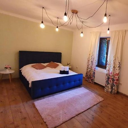 Home Central Apartment Braşov Extérieur photo